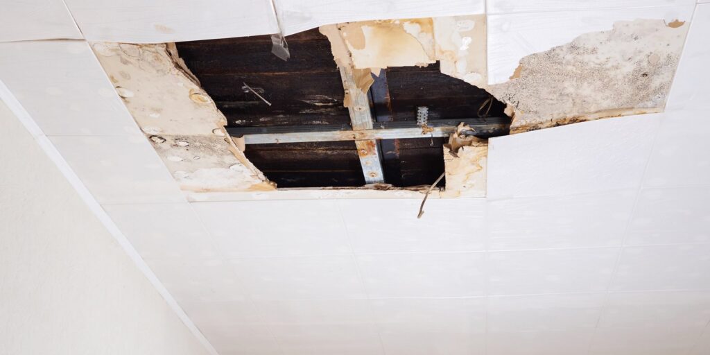 Ceiling Repair And Restore